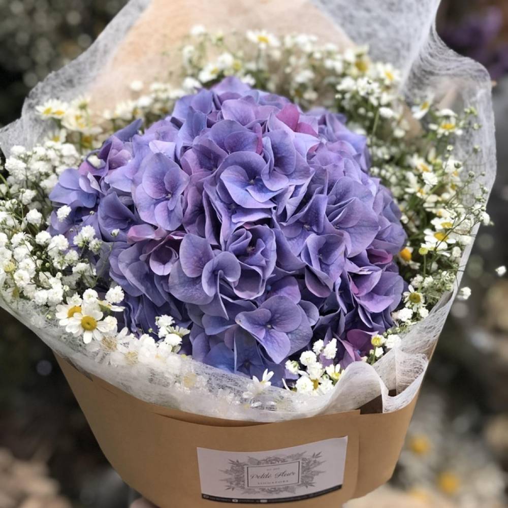 how-to-choose-a-fresh-hydrangea-bouquet
